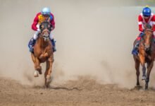 Top 10 Legendary Racehorses and Their Unforgettable Victories