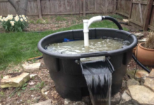 Cleaner Pond: Essential Tips for Crystal Clear, Healthy Water
