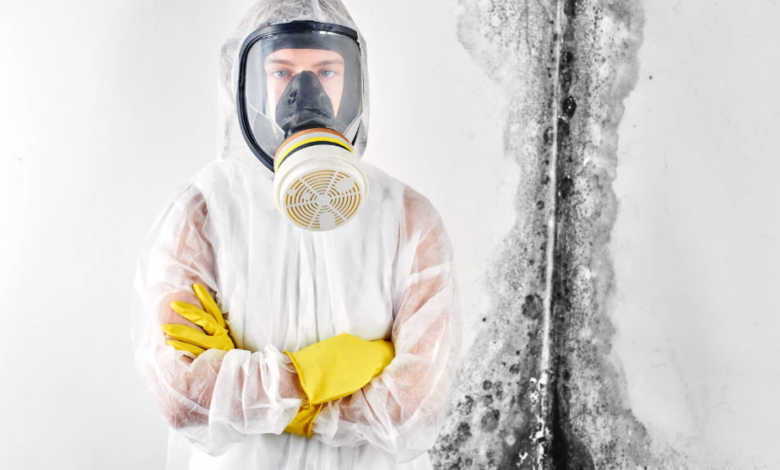 How Mold Remediation Prevents Long-Term Health Risks