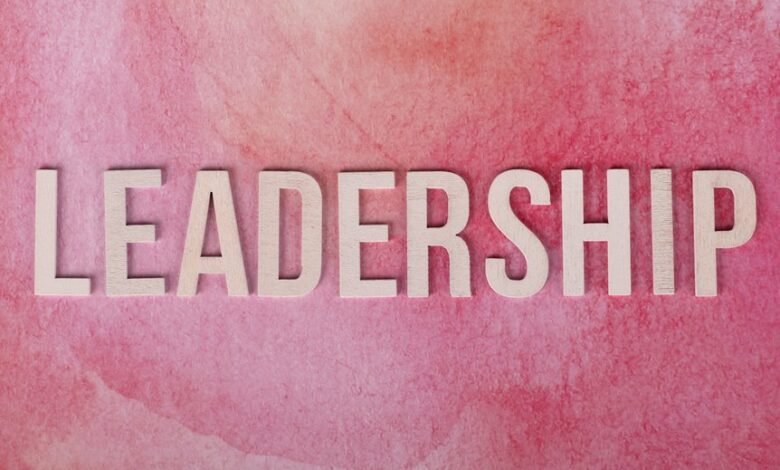 dynamic vision authority expansion